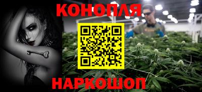 шишки Канаш